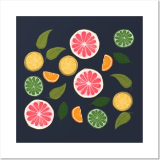 Delicious Hand-Drawn Citrus Fruit Posters and Art